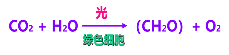 光盒作用