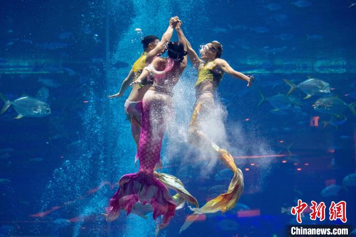 2024中国美人鱼公开赛亚洲杯首办 多国选手角逐首