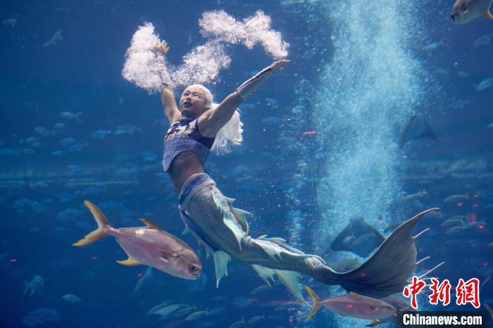 2024中国美人鱼公开赛亚洲杯首办 多国选手角逐首