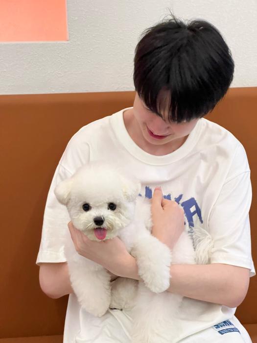 金色的雨藏在赛场外的少年心田：小落王科从叛